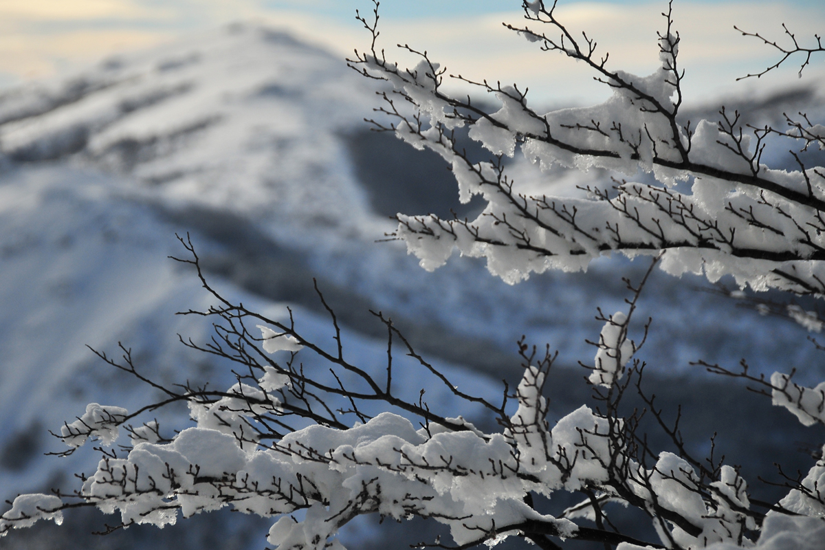Invierno